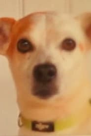 Toby