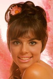 Jo Collins