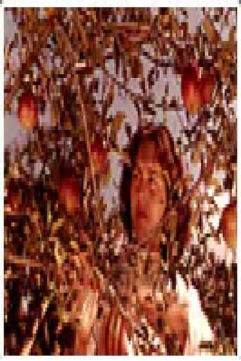 Полог (економски преглед)