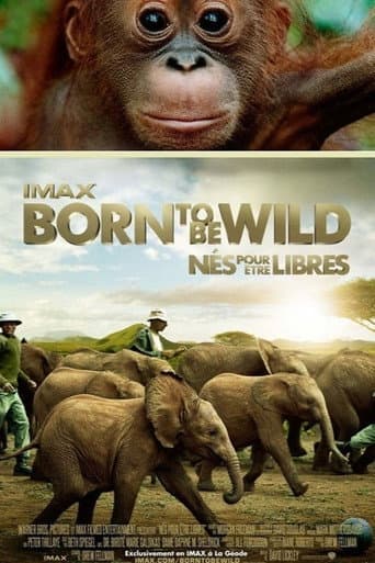 Born to Be Wild