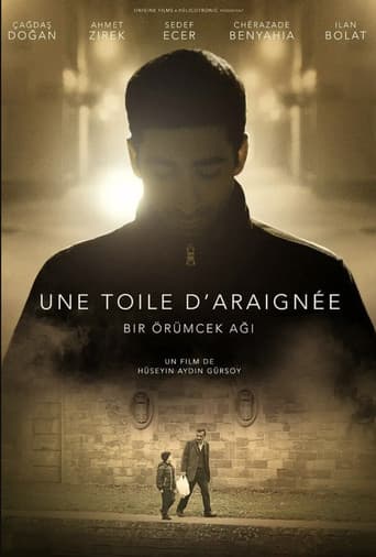 Une toile d’araignée