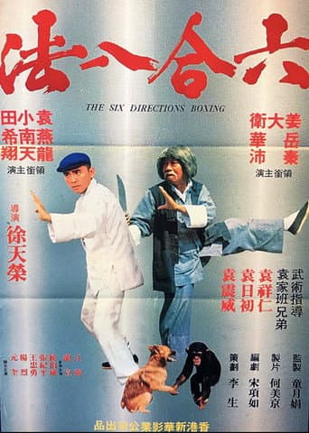 六合八法