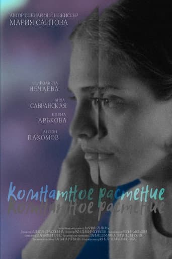 Комнатное растение