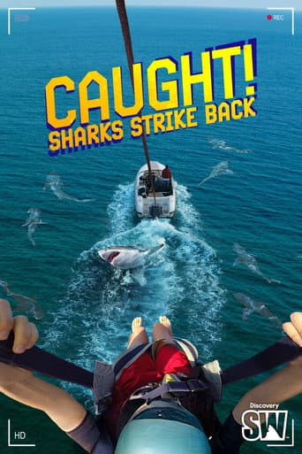 Sur le vif ! Quand les requins contre-attaquent