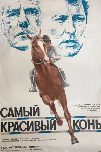 Самый красивый конь