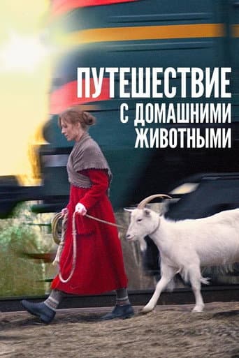 Voyage avec des animaux de compagnie