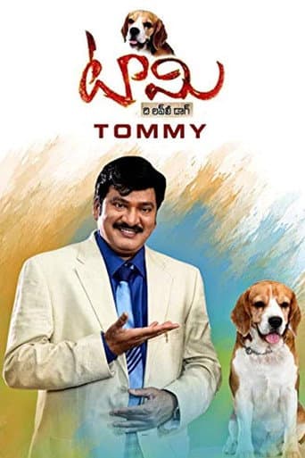 టామీ