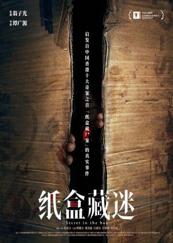 纸盒藏迷
