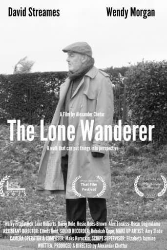 The Lone Wanderer