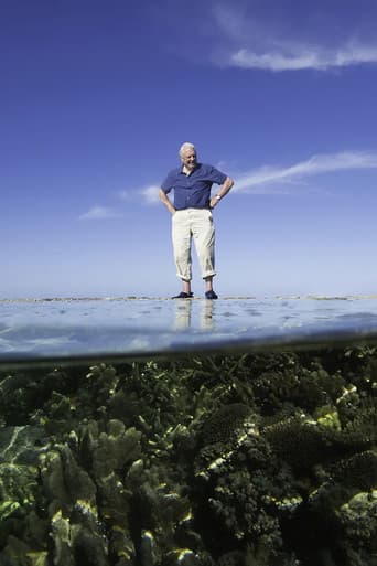 Reef Diaries