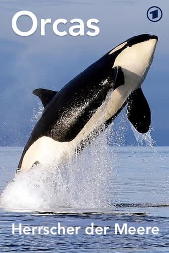 Orcas - Herrscher der Meere