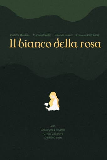 il bianco della rosa