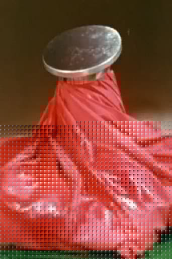 Sort of a Commercial for an Icebag