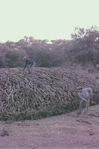Encinares