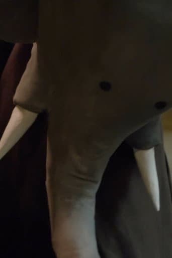 Un éléphant me regarde