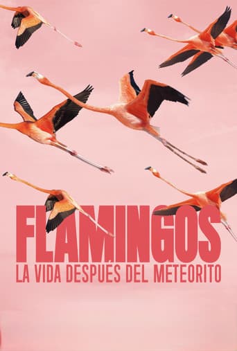 Flamingos: La vida después del meteorito