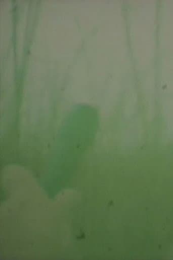 Oto o Karu