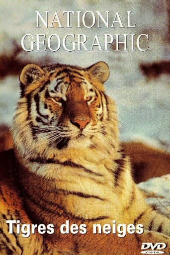 National Geographic : Tigres des neiges