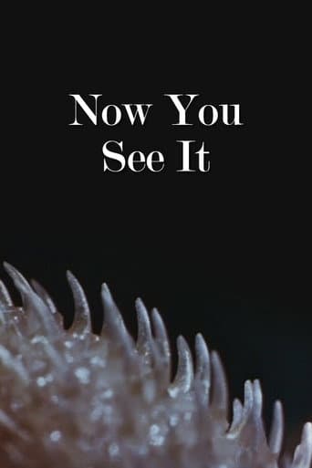 Now You See It