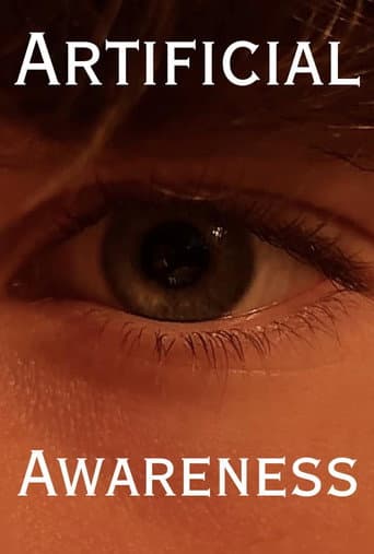 Artificial Awareness