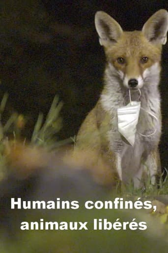 Humains confinés, animaux libérés