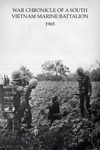 南ベトナム海兵大隊戦記