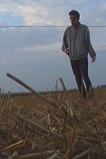Horizonto Šaknys