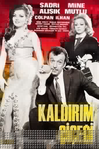 Kaldırım Çiçeği