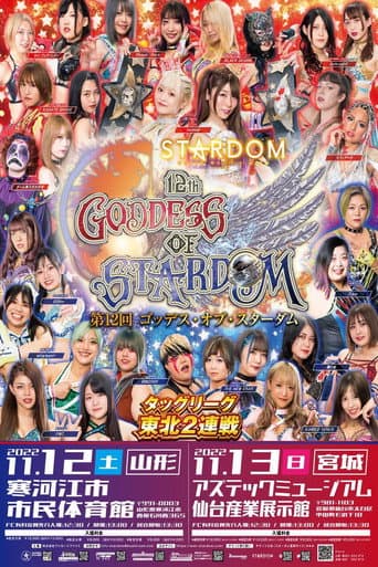 第12回 ゴッデス・オブ・スターダム～タッグリーグ戦～