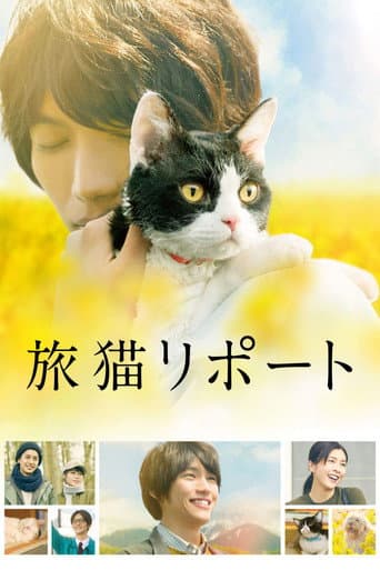 The Travelling Cat chronicles