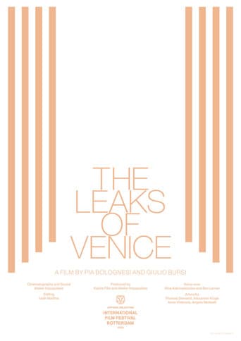 The Leaks of Venice