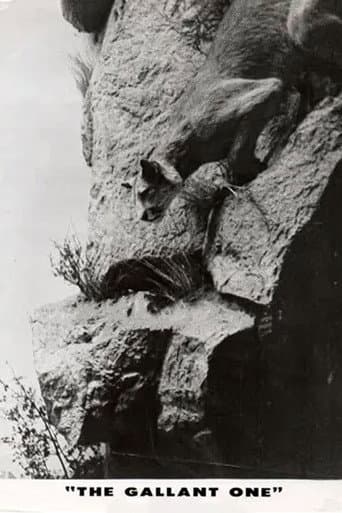 The Gallant One