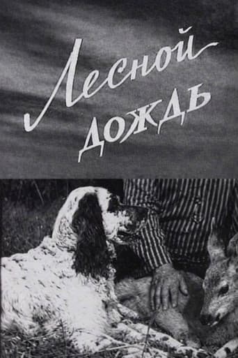 Лесной дождь
