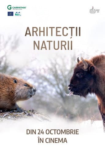 Arhitecții naturii