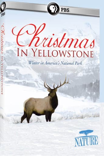 Noël Au Yellowstone