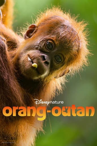 Orang-outan