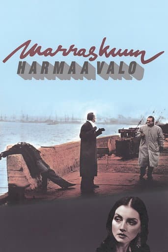 Marraskuun harmaa valo