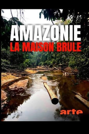 Amazonie, la maison brûle