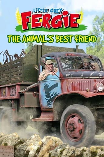 Petite grise Fergie : Le meilleur ami des animaux