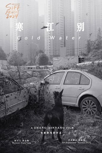 伤寒杂病论