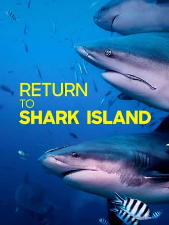 Return to Shark Island
