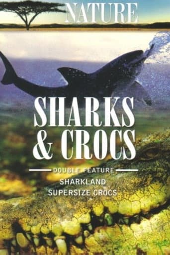 Sharkland