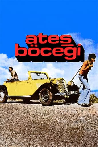 Ateş Böceği