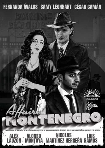 Affaire Montenegro