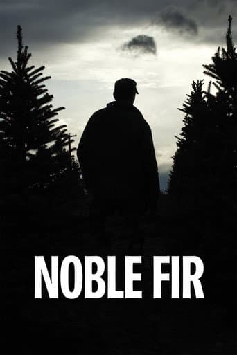 Noble Fir