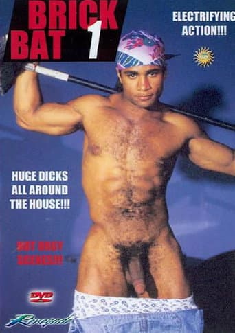 Brick Bat 1