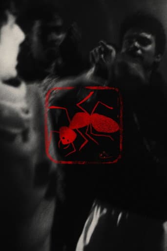 বিষ পিঁপড়া