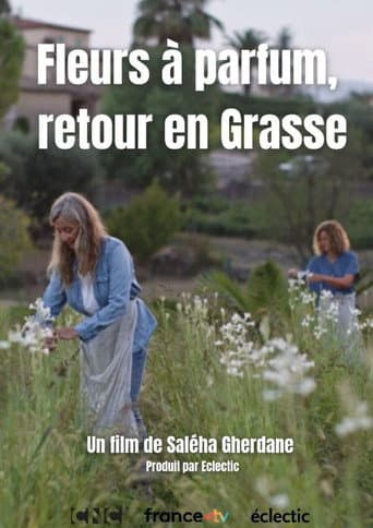 Fleurs à parfum, retour en Grasse
