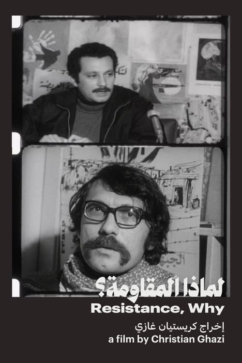 لماذا المقاومة