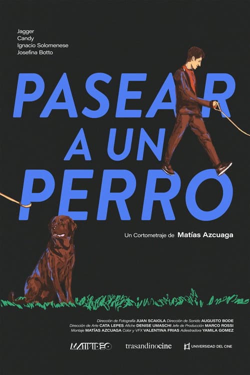 Pasear a un perro
